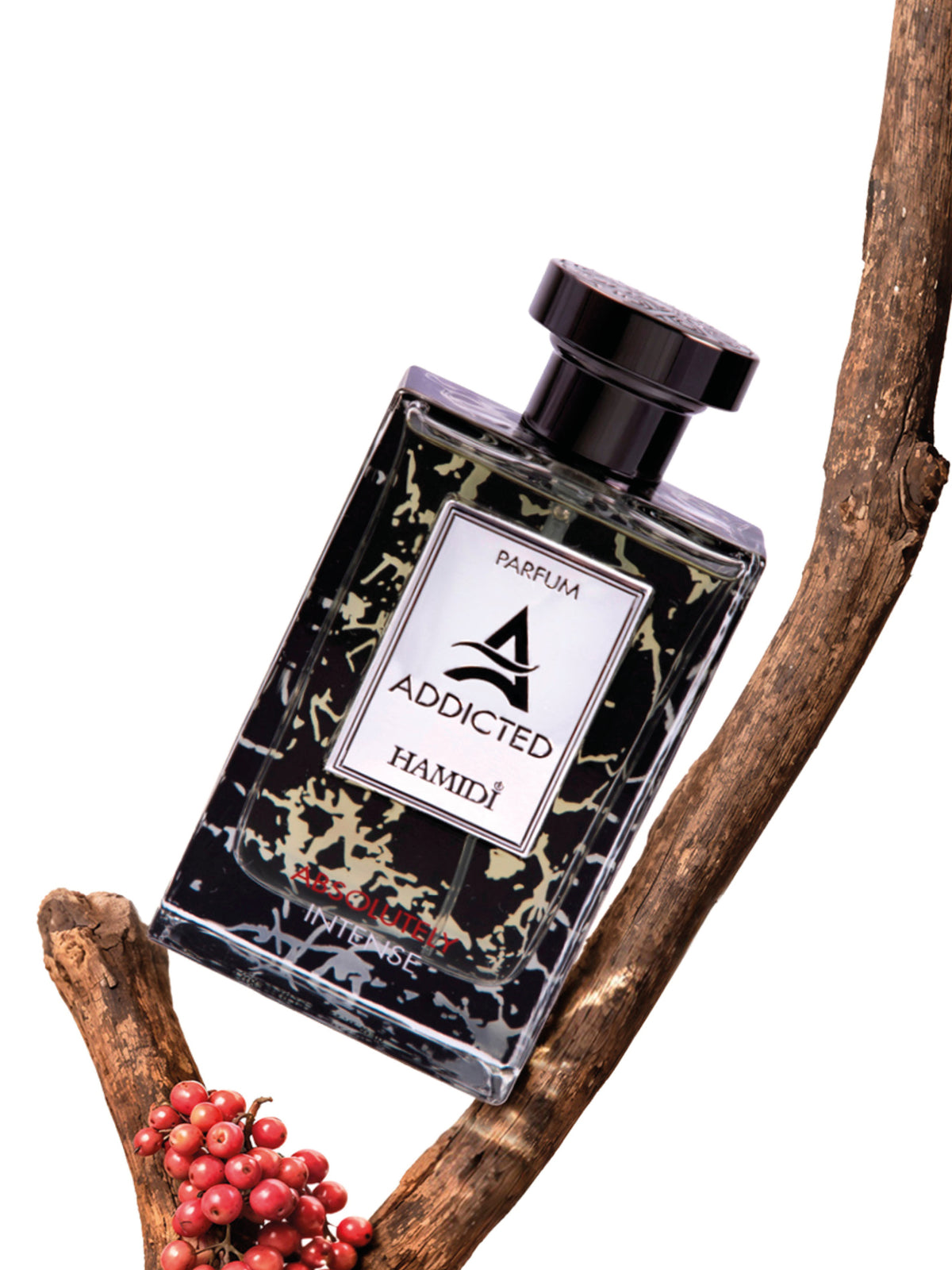 ABSOLUTELY INTENSE